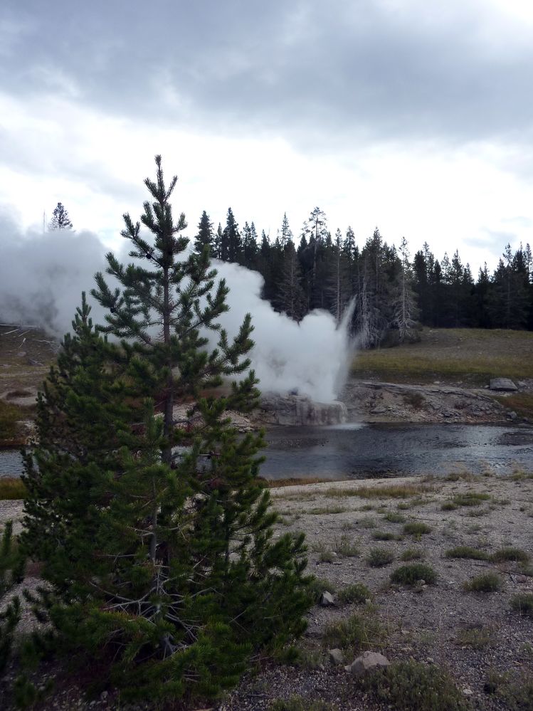 Yellowstone Old faithfull et ses environs (93).JPG